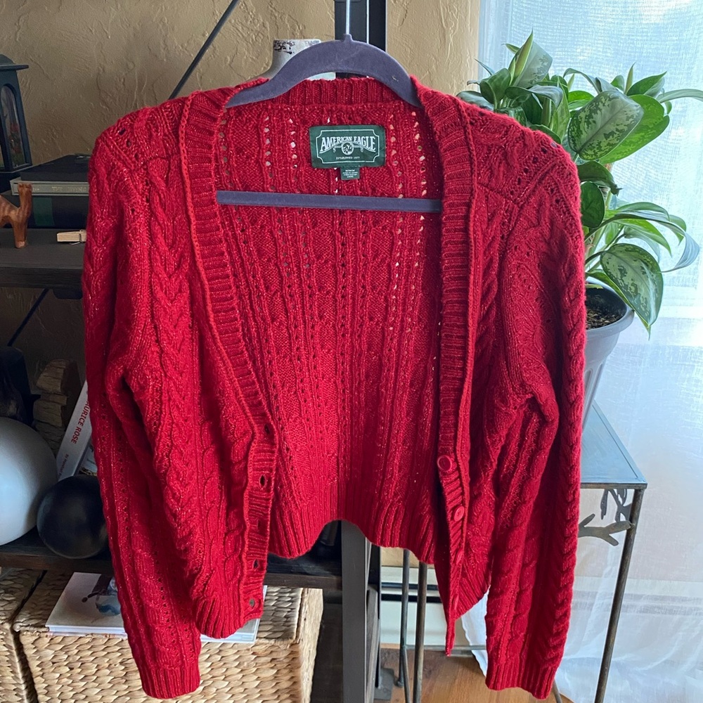 American Eagle Cardigan - Sz M